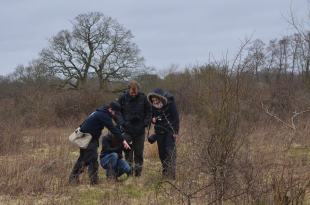 Investigating a rabbit skull amongst the scrub