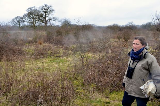 Penny pointing out an area fenced off for reference surveys to see what will happen with no browsing (top-left)