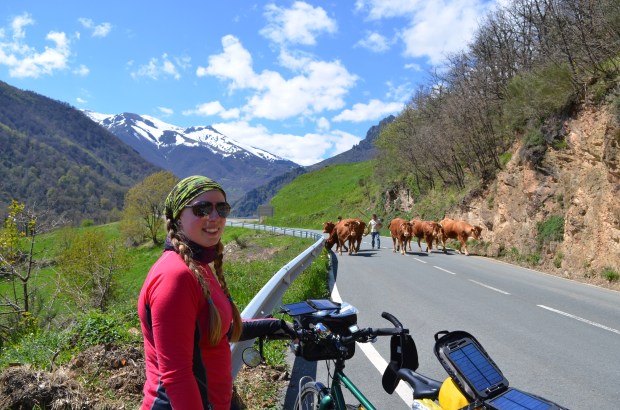 Not many cars, but a few cows