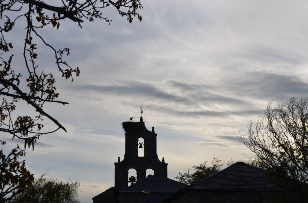 Church with baby crane