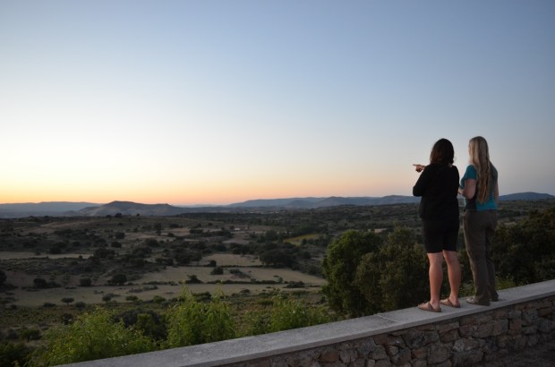 Checking out the view