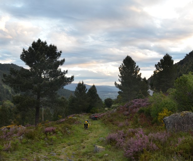 Camping spot in the morning light