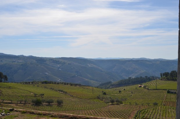 Industrial landscape