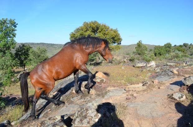 They walked right past us!