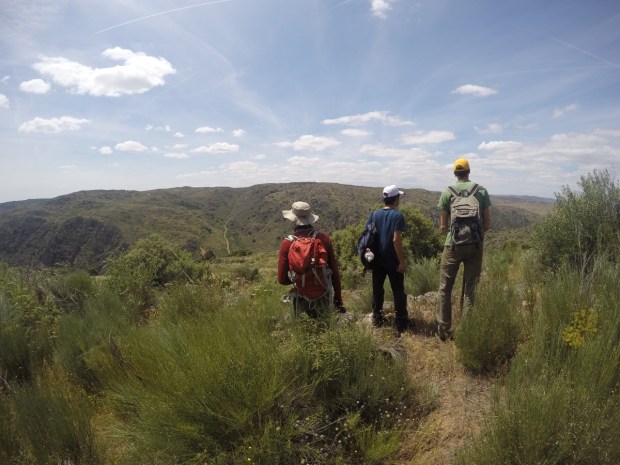 Hm, where to put that plot??