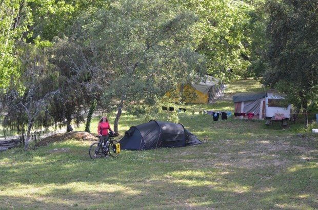 Camping under a little oak tree