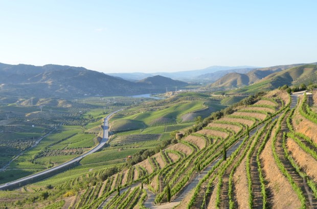Douro valley and vineyards