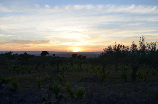 Sunset on the way home