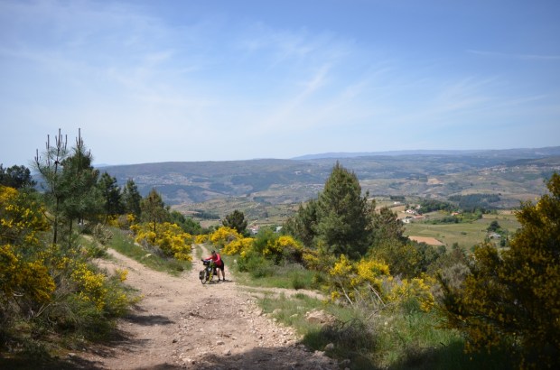 Me dispassionately capturing a terrible event