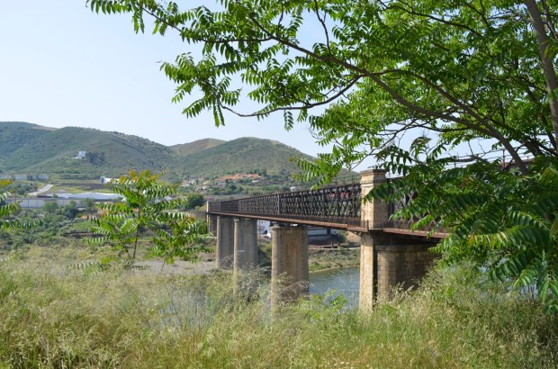 Looks good from here...