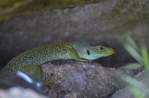 Up close and personal