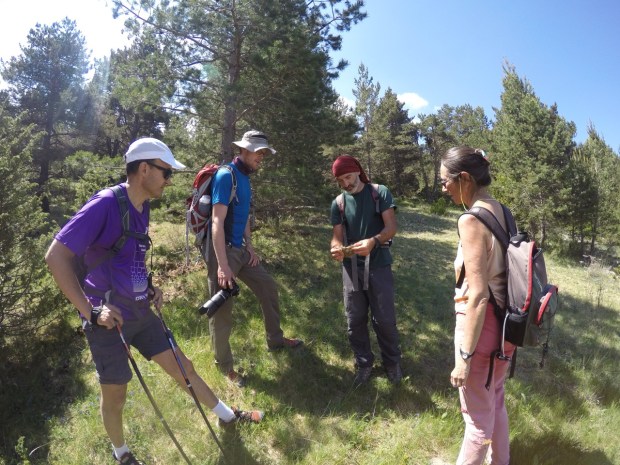 Carles showing us a fallen bird's nest