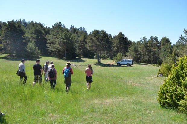 Walking back across the endangered habitat!