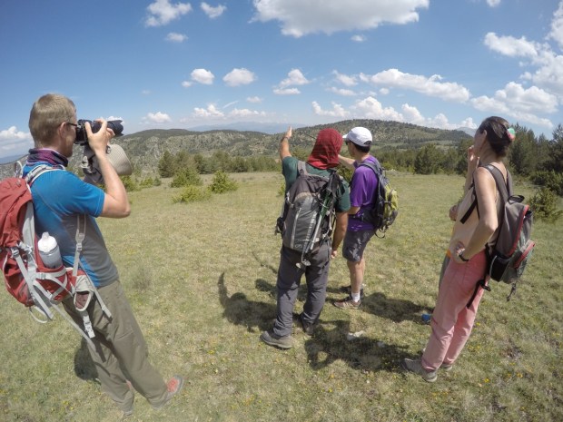 Which summit is which?