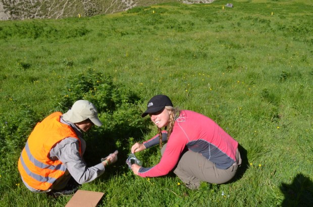 Found some!  Bag it up.