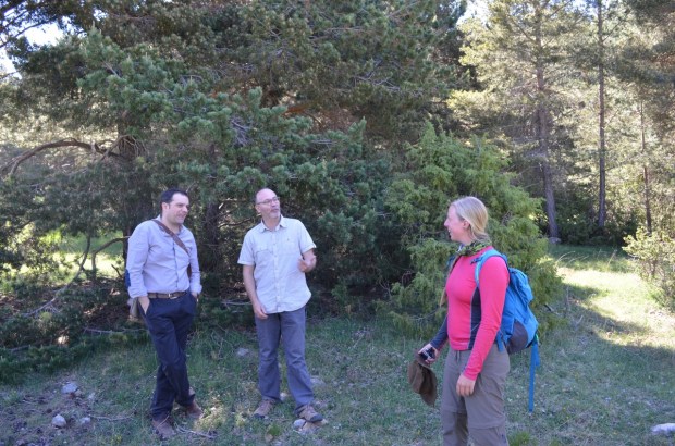 Anna seeking answers