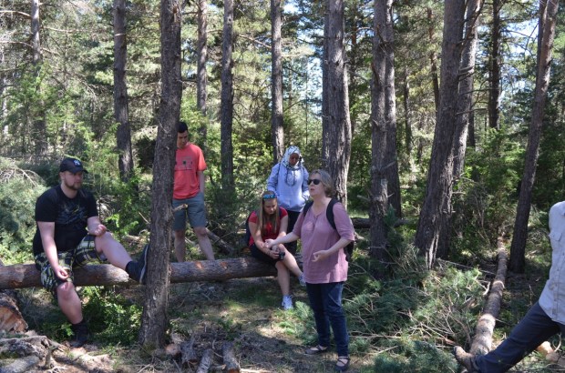 The Prof - loves grassland