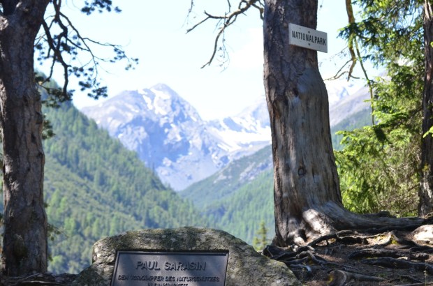 Overlooking the National Park