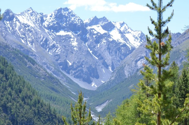 Glimpse of the mountains