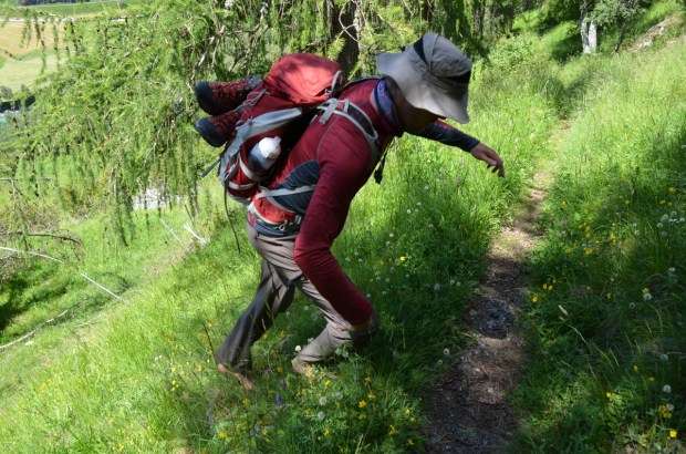 We found the trail again!