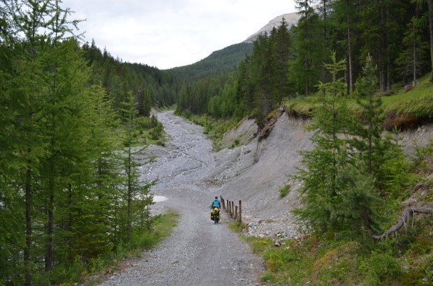 Our gravel track in the forest (can we stop going uphill now please?)
