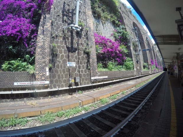 Genova station flowers