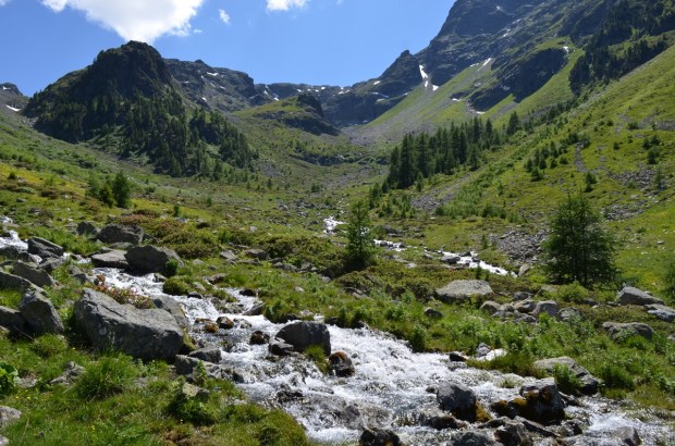 Alipne meadow in the valley
