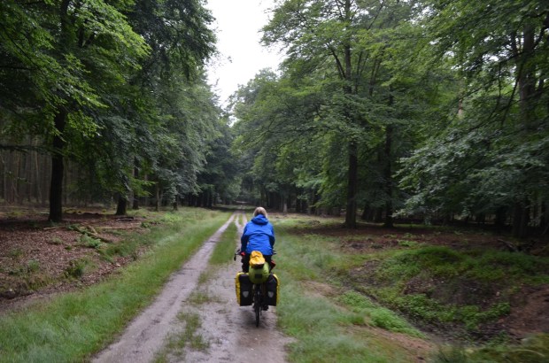 Anna tackling the sandy forest track