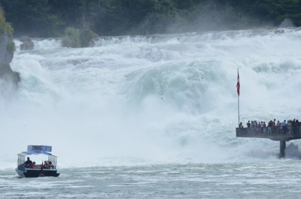 They've got a good view!