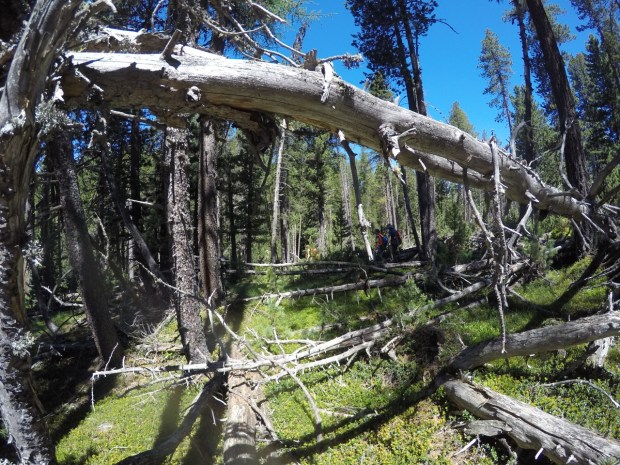 Off-roading gets tricky