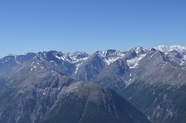 View across the park