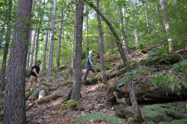 Nice bit of climbing