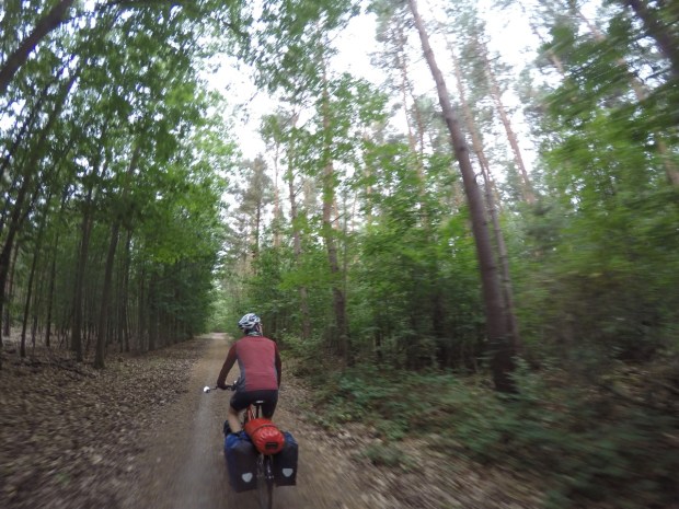 Nice ride in the woods