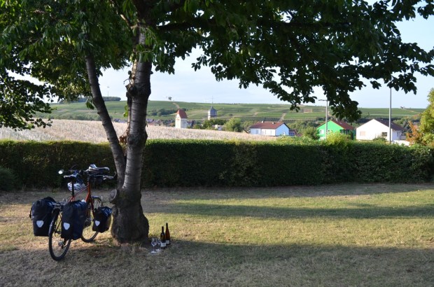 The view was nice too