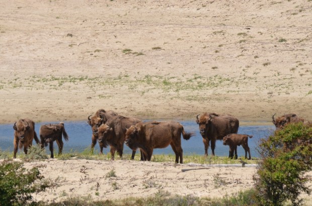 Look how cute the little one is!