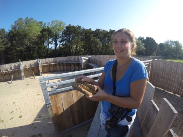 Ester with bison biscuits