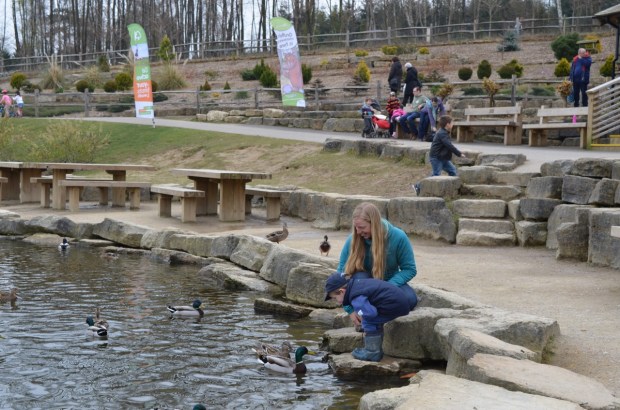 Casey talking to the ducks