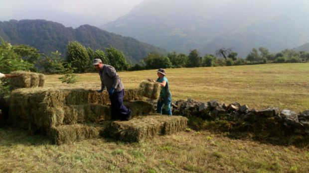 IMG_20180904_143326_684