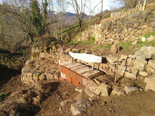bench and cherry tree