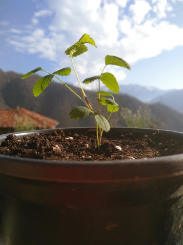 IMG_20190227_170700 (1)